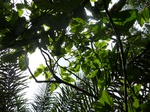 20599P1020456.JPG