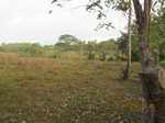 30036IMG_5358.JPG