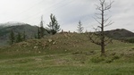 34141CIMG2352.JPG