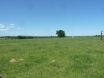 54273P1080990.JPG