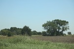 2024-06-17_21-20-50_80FF8C82-AFF9-407B-BDEB-14C63E378FA5.jpeg