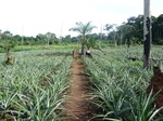 20133P1010984.JPG