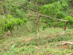 53368CIMG6663.JPG