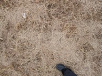 9464IMG_0009.JPG
