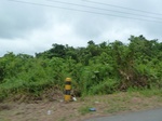 55081Berau (40).JPG