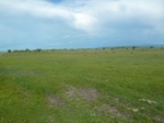 38130P1080055.JPG