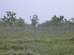 1281R0015090_small.jpg