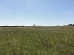 24706DSC01130.JPG