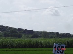 70580195c-irrigated-supplemental-groundwater-rice-dominant-sugarcane.jpg