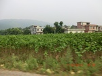 33032CIMG2224.JPG