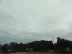 35288DSC02498.JPG