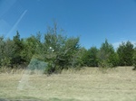 34945DSC01847.JPG