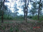 53230CIMG4981_调整大小.JPG