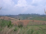 28215RIMG0211.JPG