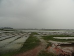 22087DSC00322.JPG