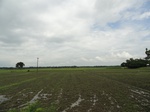 22139DSC00382.JPG