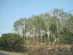 27865IMG_4858.JPG