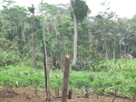 48756CIMG5093.JPG