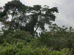 49605CIMG5942.JPG