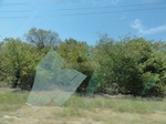 35011DSC01913.JPG