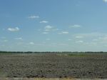 35114DSC02317.JPG