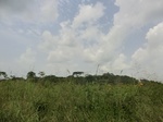 49675CIMG6012.JPG