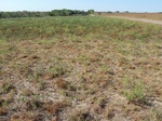 39180BUTL20110728S.JPG