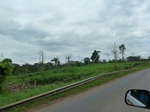 20266P1020121.JPG