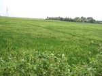 14349IMG_4691.JPG