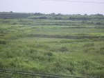 809R0015374_small.jpg
