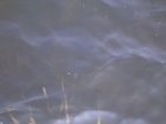 1513R0015206_small.jpg