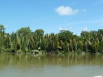 54687Bulungan (182).JPG