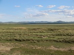 37980CIMG1788.JPG
