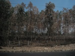 28134IMG_4955.JPG
