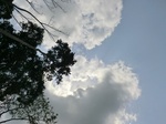 46425CIMG0714.JPG