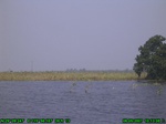 1478R0015188_tag.jpg