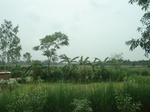 21779DSC08354.JPG