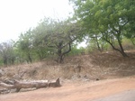 4029RIMG0333.JPG