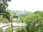 13785IMG_4048.JPG