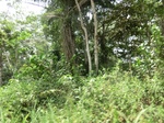 47950CIMG4287.JPG