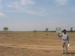 9385gt070a-rangelands.gif