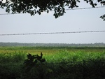 32159IMG_0710.JPG