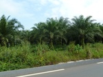 25930P1020349.JPG
