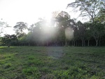 31941IMG_5670.JPG