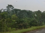 50005CIMG6342.JPG
