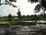 24663DSC00887.JPG