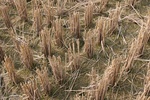 8402IMG_0528.JPG