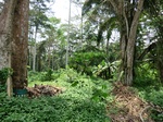 46465CIMG0754.JPG