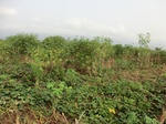 50407CIMG1036.JPG