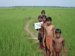 132330342c-rainfed-agriculture-rice.gif